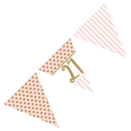 21st Birthday Flag Bunting