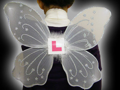 Hen Party Fairy Wings